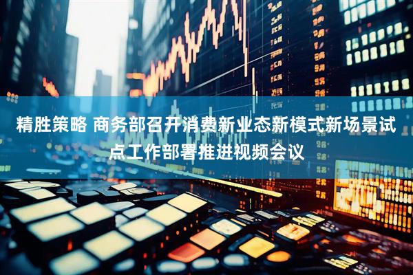 精胜策略 商务部召开消费新业态新模式新场景试点工作部署推进视频会议